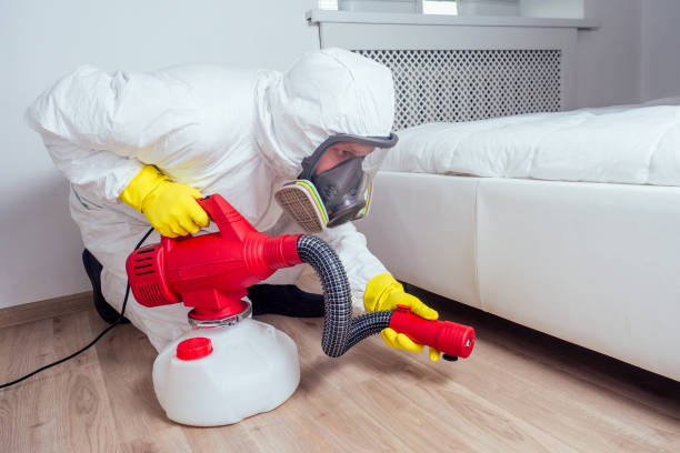 Best Affordable Pest Control Services  in Bullhead City, AZ