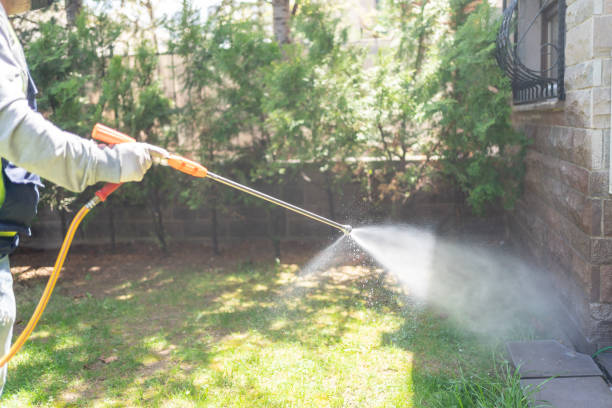 Best Affordable Pest Control Services  in Bullhead City, AZ